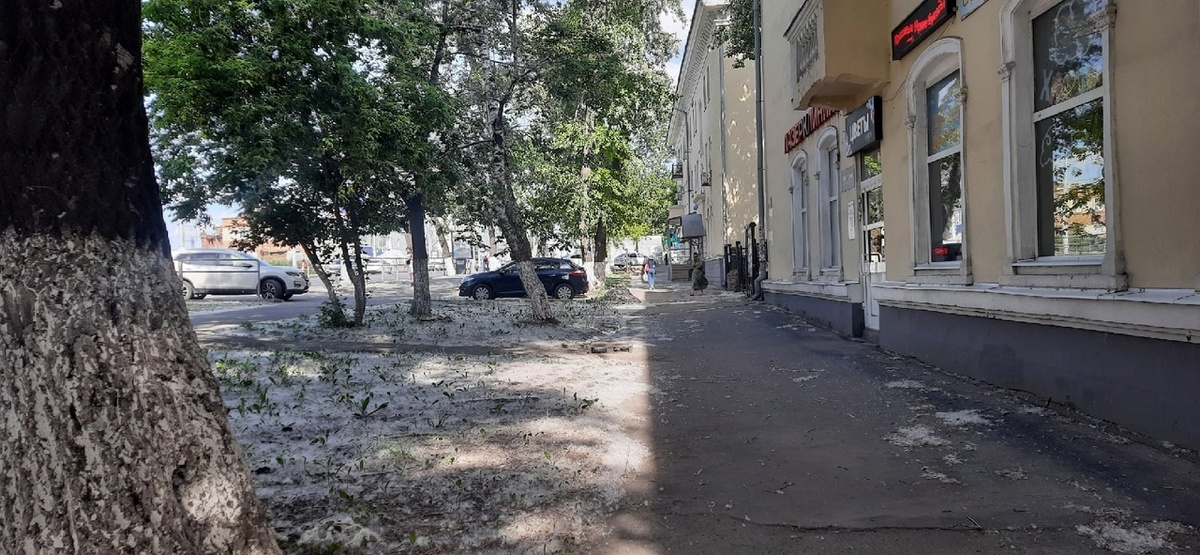    Фото: архив progorod