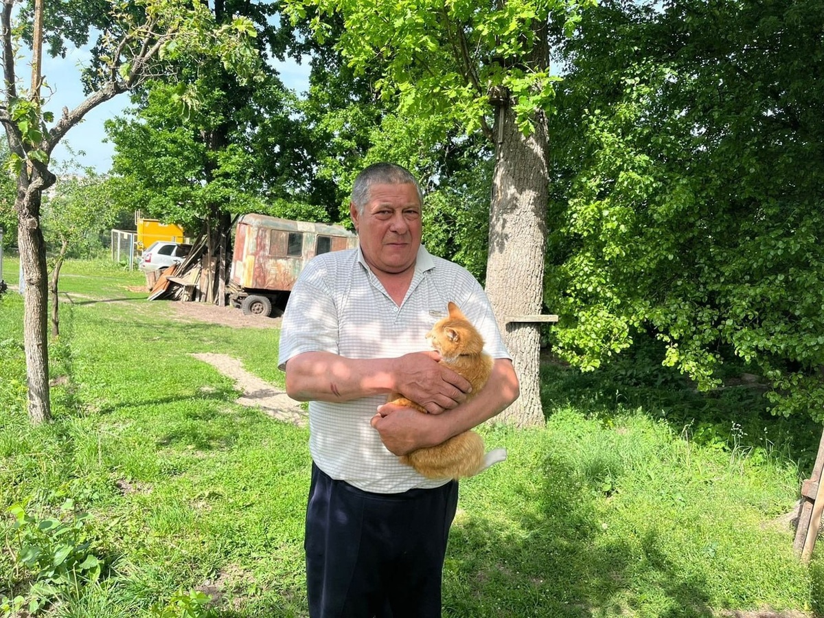     В Железногорске Курской области спасли кота