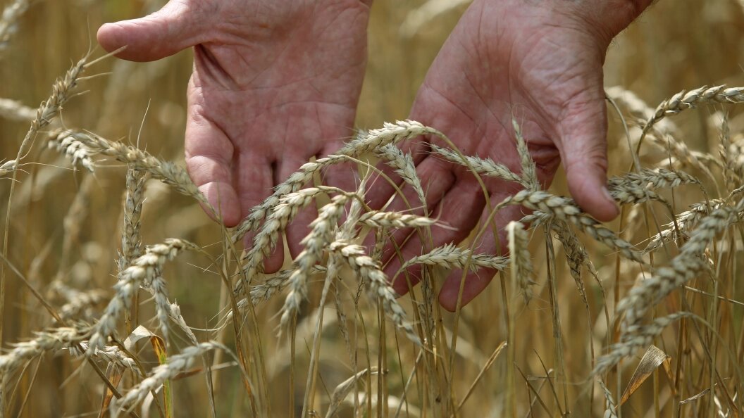    Фото: Nikolay Gyngazov/Globallookpress