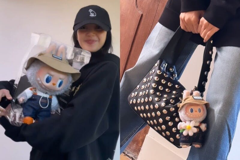 Лиса с игрушкой Labubu от Pop Mart — с этого начался тренд 2024 года. После него все начали искать, где купить Labubu.