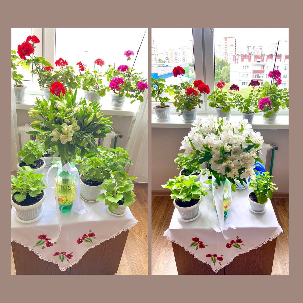 24 мая.                     29 мая