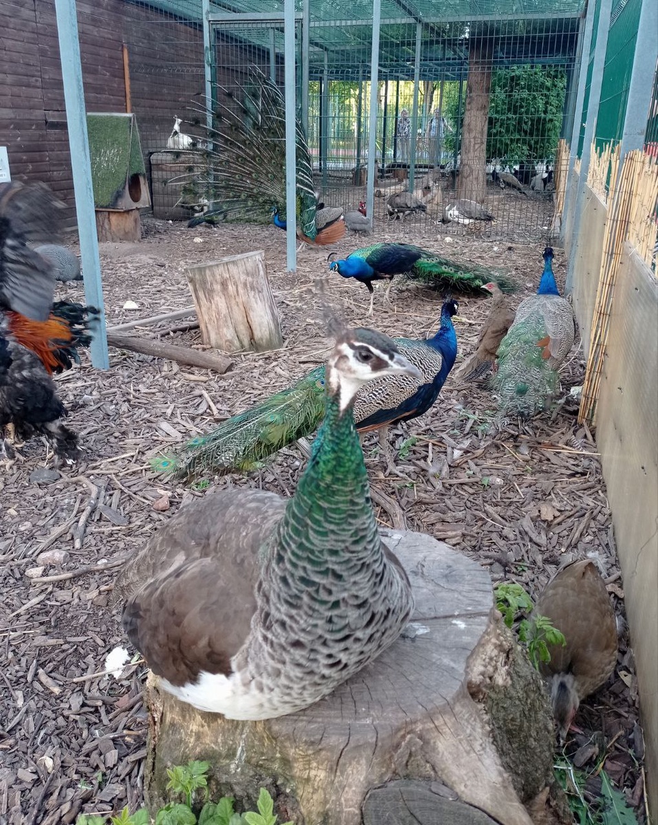 И всё равно я решила эту фотку показать!