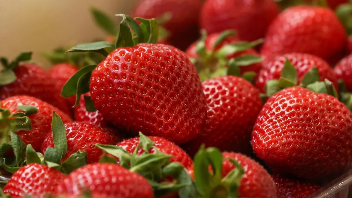 Источник фото - 78.ru