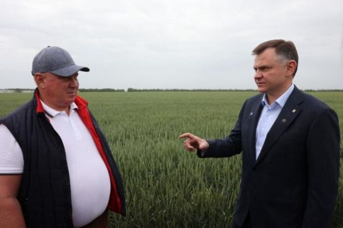 Источник фото: пресс-служба правительства Ростовской области