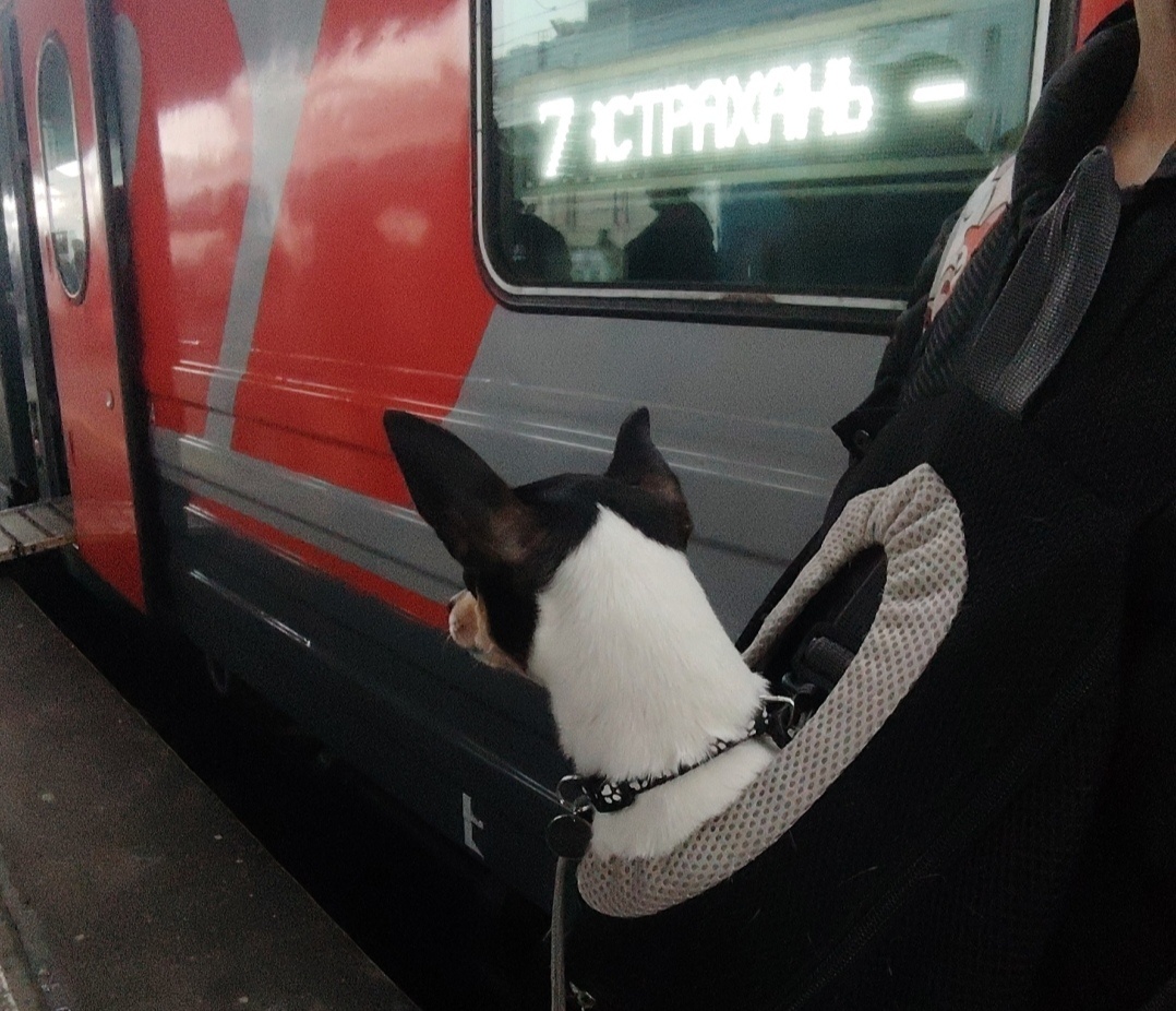 Джонни в ожидании посадки на поезд