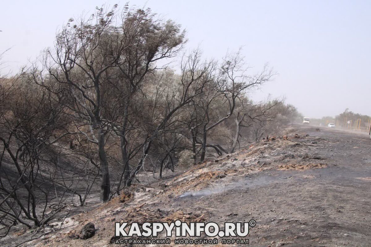    Апокалиптическую картину увидели на дороге.