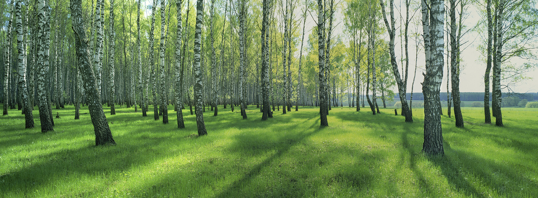 Выставка, которая возвращает к истокам русской духовности (12 работ)