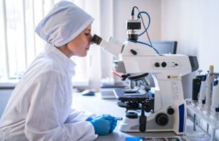    Отечественные ветеринарные тест-планшеты для мониторинга антибиотикорезистентности разрабатывает ФГБУ ВГНКИ