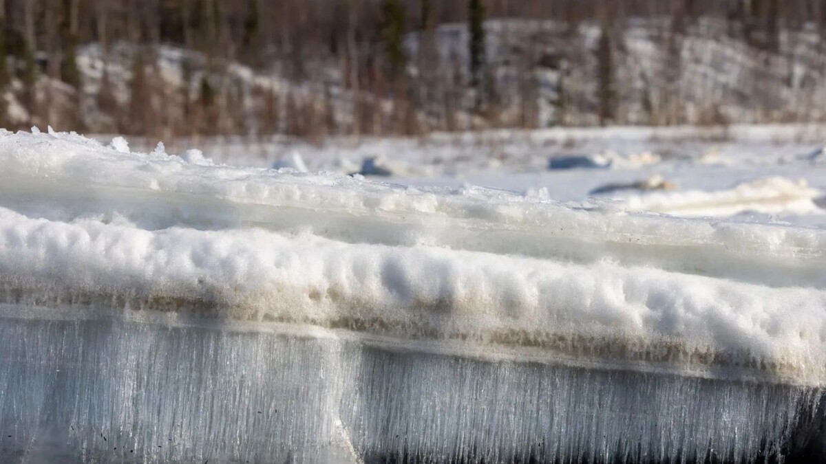    Фото: Сергей Зубков / «Ямал-Медиа»