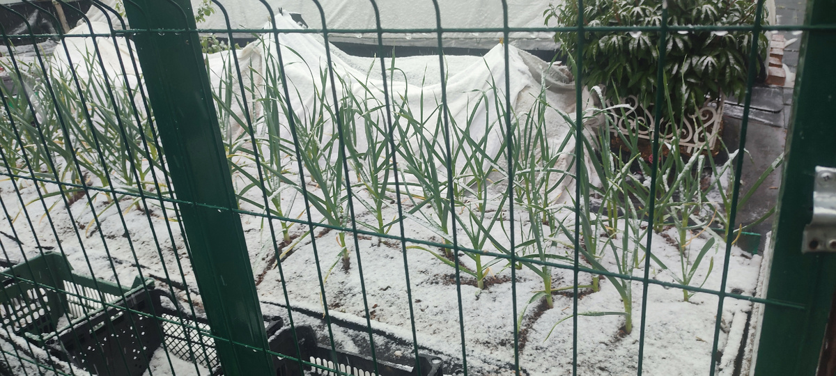 Вот такой в Сибири конец мая. 