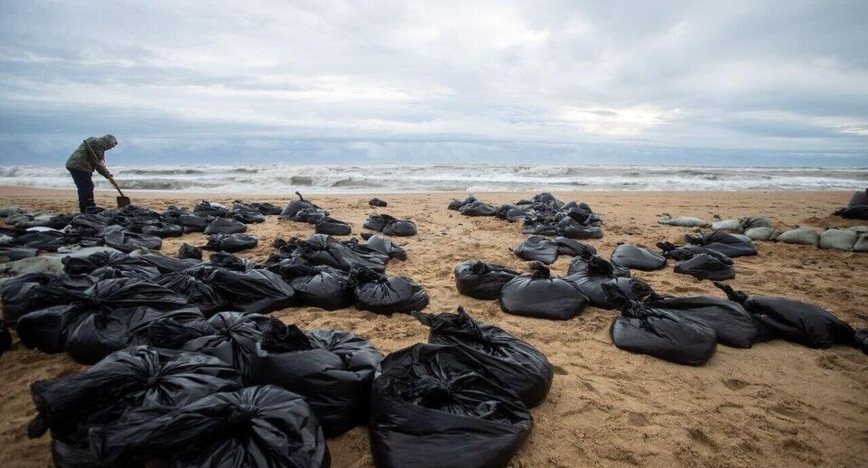    РИА «Новости»