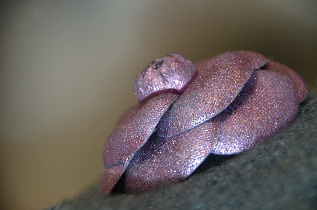 Лиловая Камелия