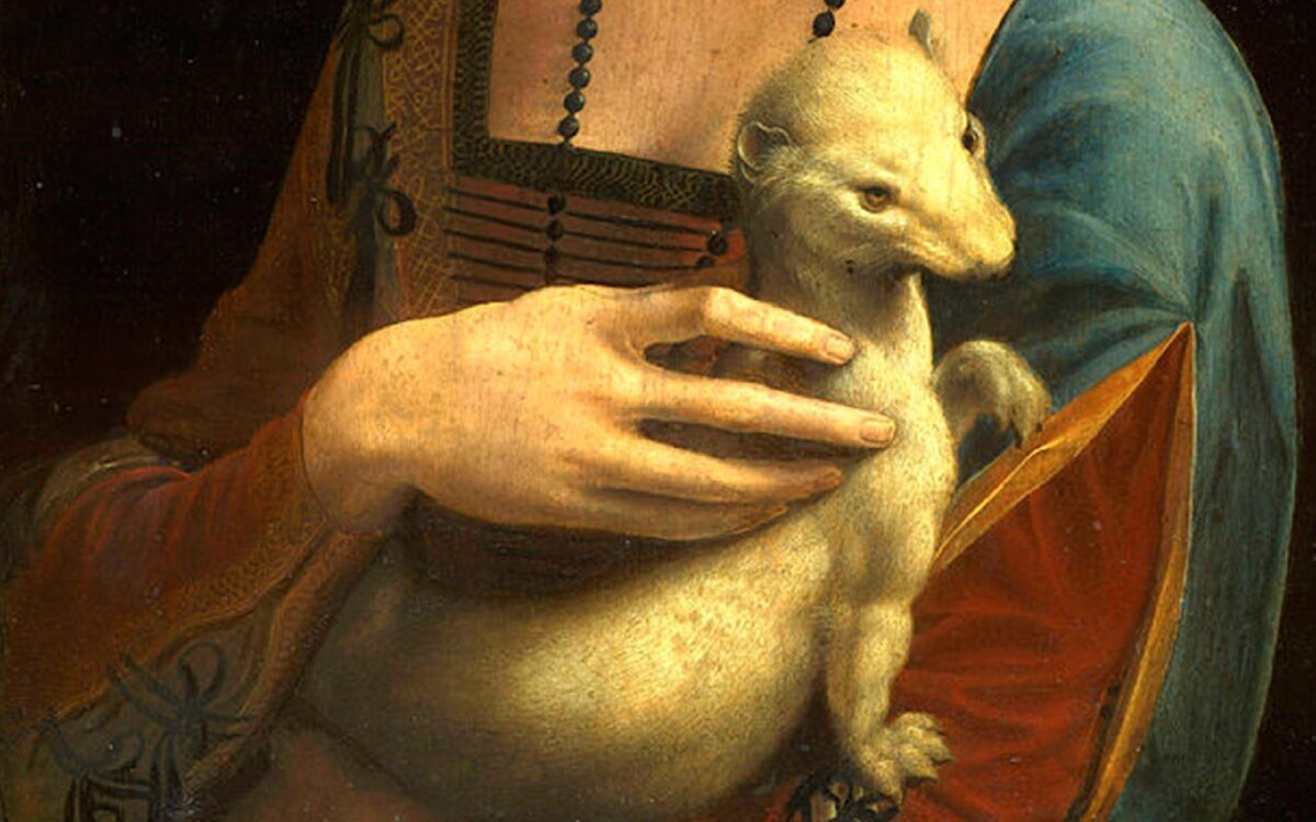 «Взгляд, который не отпускает. Картина «Дама с горностаем», 1489–1490 гг.»)
