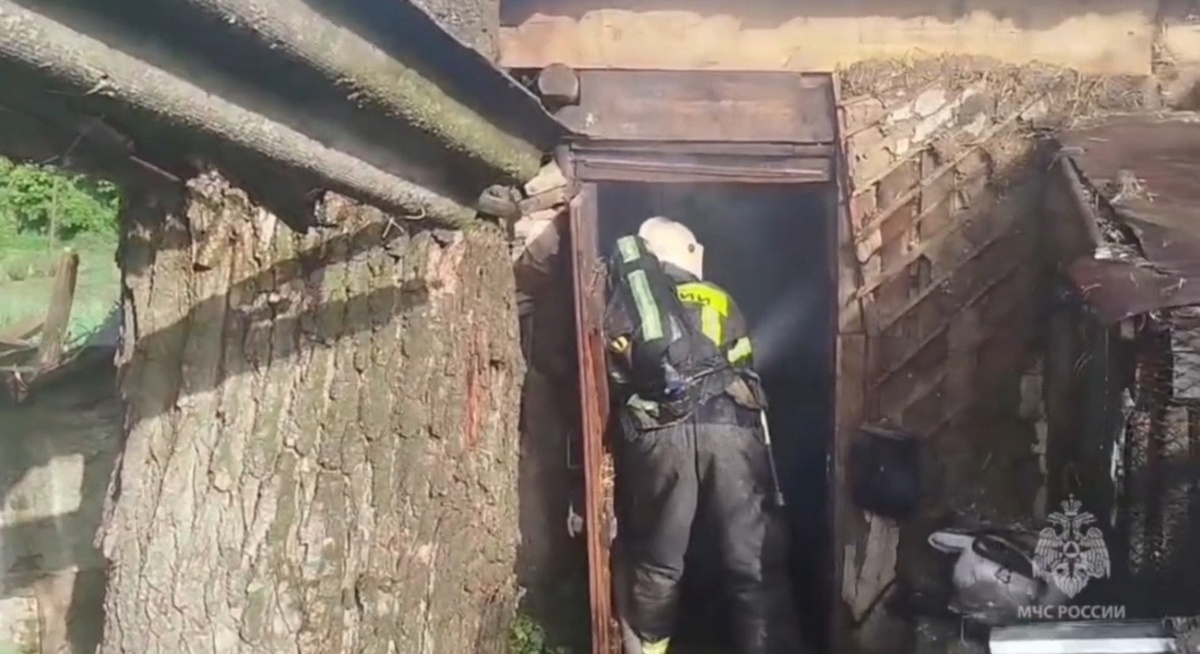    Огонь в Курской области не щадит ни сараи, ни автомобили