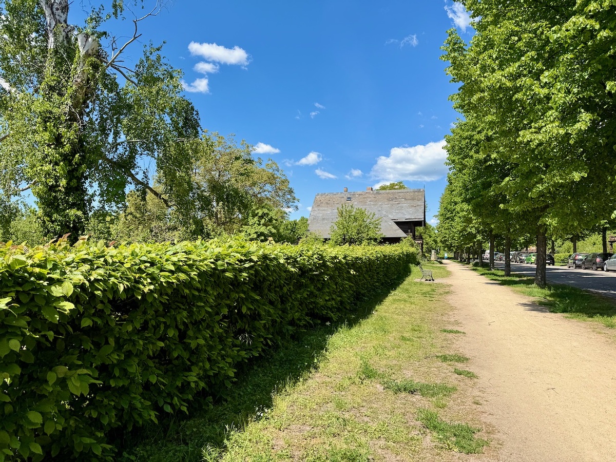 Фото автора. Май 2025