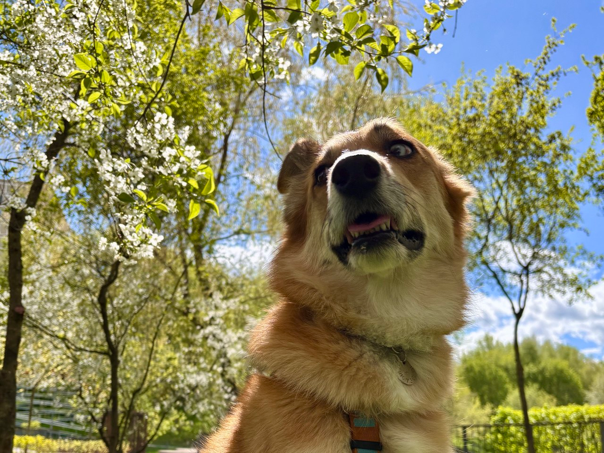 На фото Клюква как бы намекает, что подходить к ней лишний раз — так себе идея