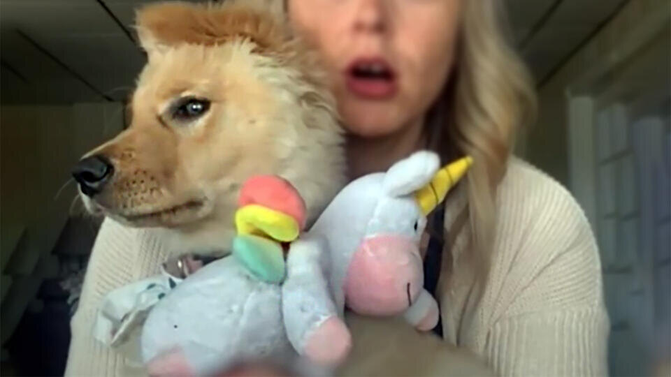 Фото: © Кадр из программы "Как устроен мир", РЕН ТВ