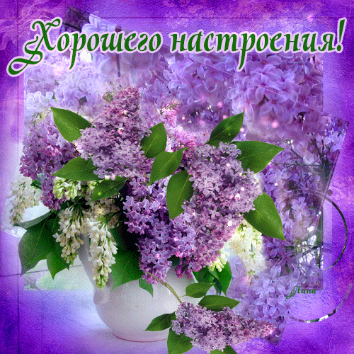 Из интернета для хорошего настроения 💖