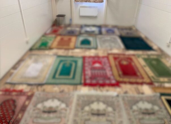    Фото: t.me/mvd_23