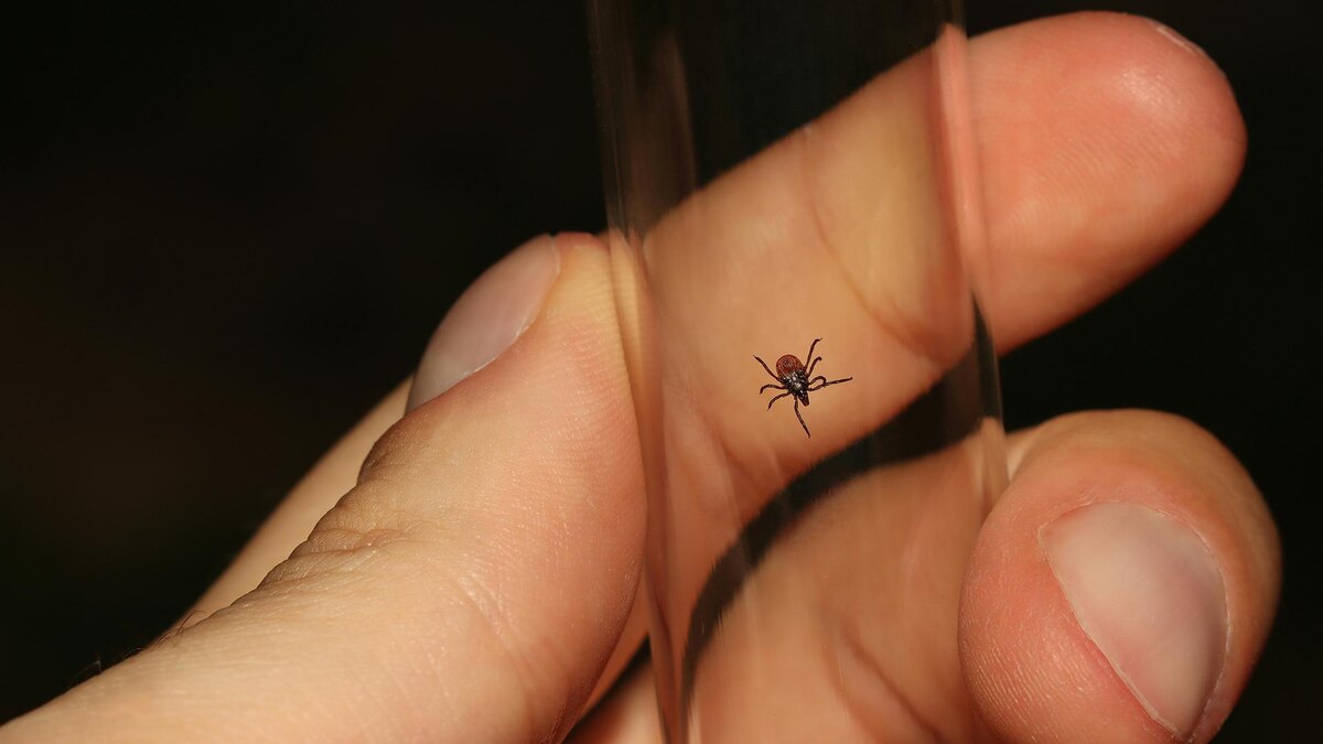    Фото: unsplash.com