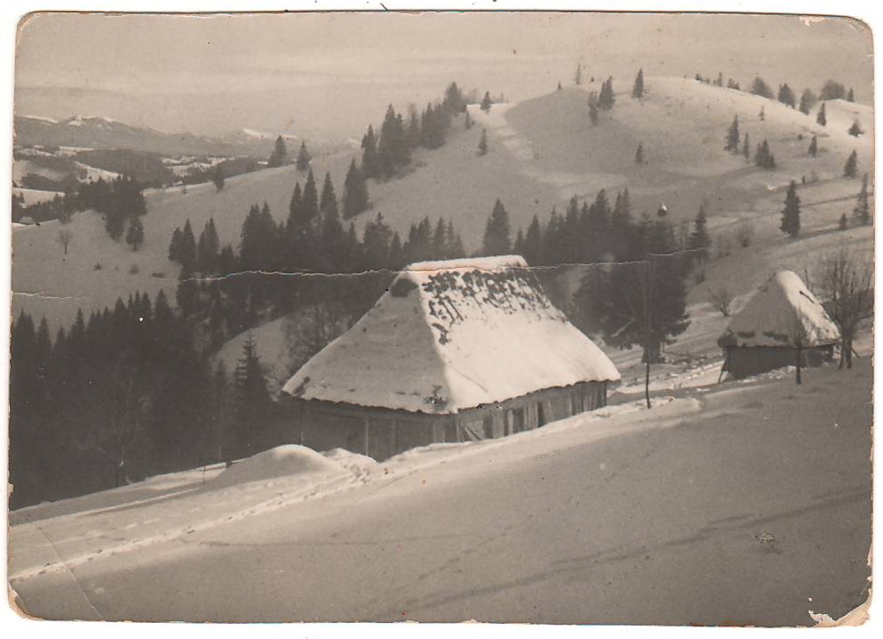 Польская открытка 1938 года