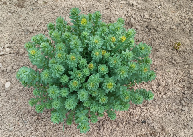 Вот он, скромный герой