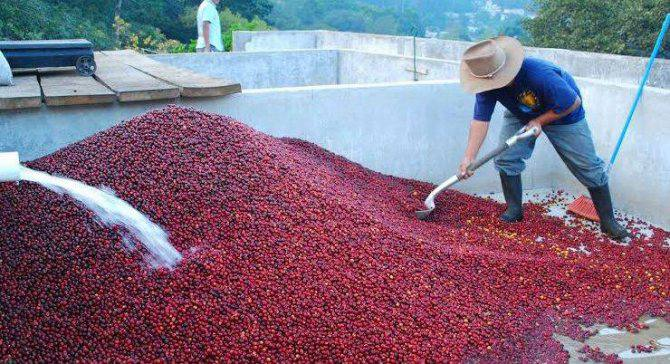 Мытая обработка