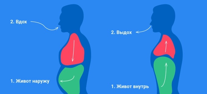 Простое объяснение этапов вдоха и выдоха