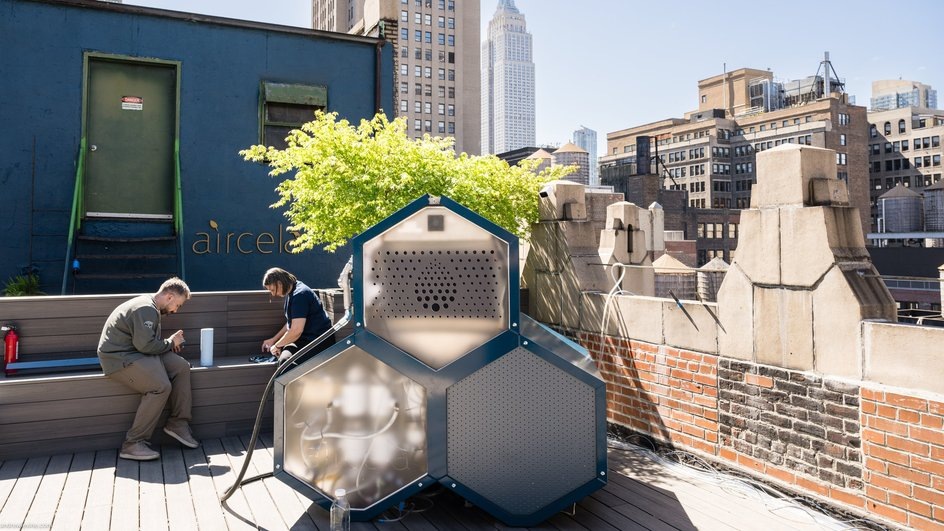 Фото: Яндекс картинки