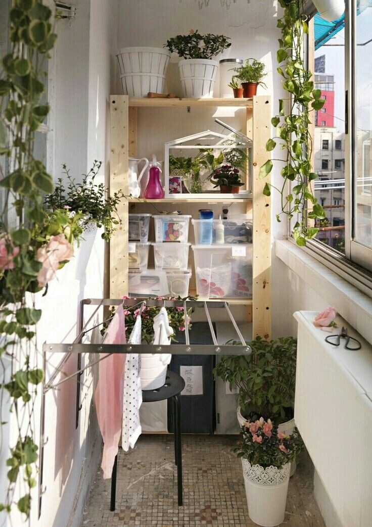 Картинки взяты с Pinterest