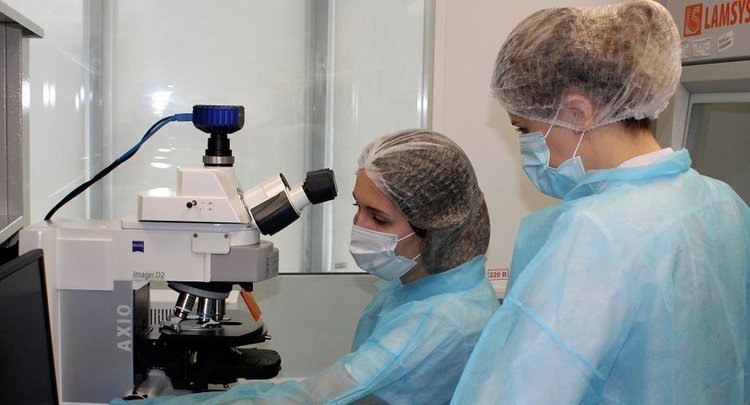    Аграрии Омской области стали чаще интересоваться подвижным фосфором в почве