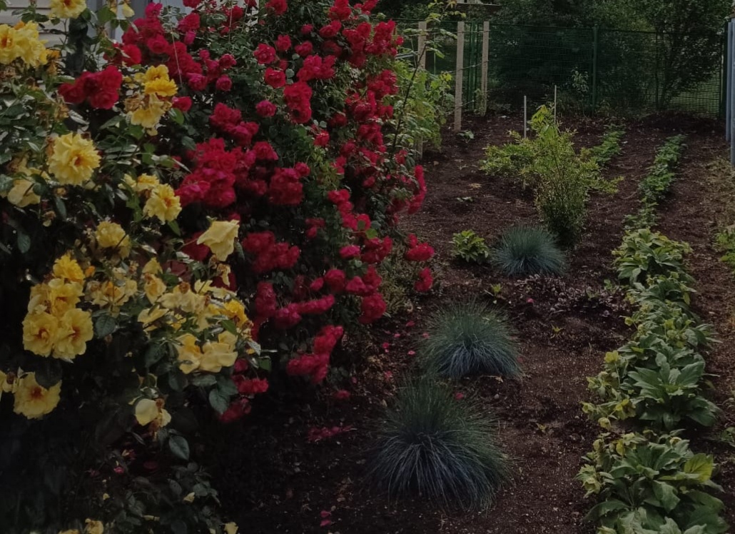 У подружки во дворе👍