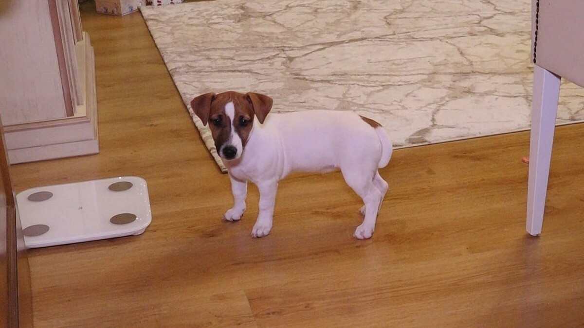    Фото: телеканал «Краснодар»