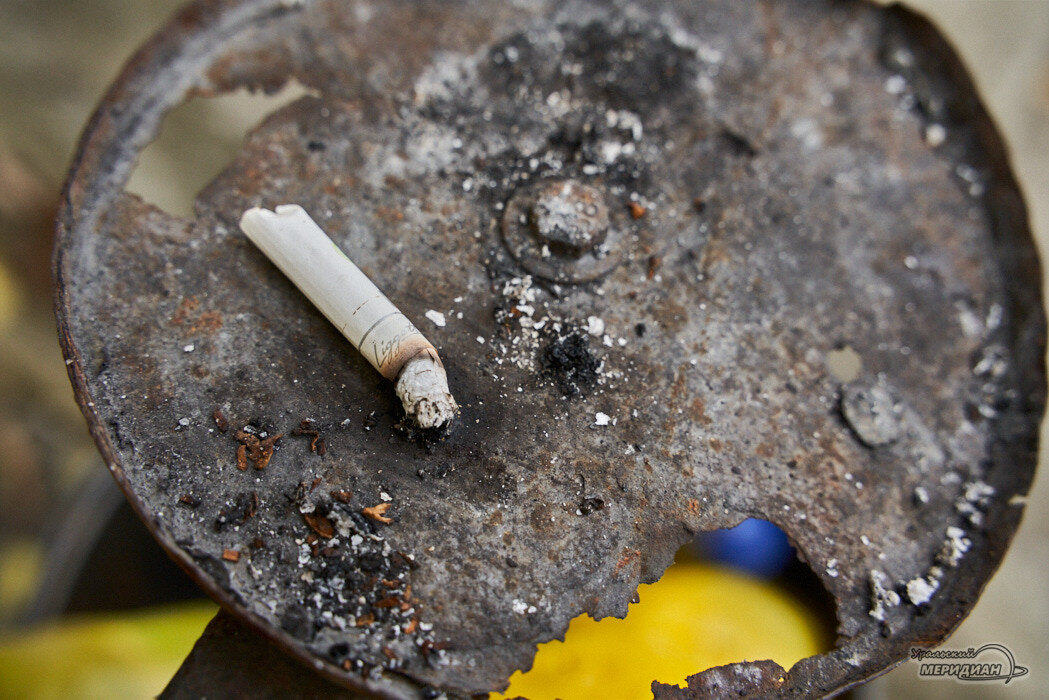    Фото Лидия Аникина © ИА «Уральский меридиан»