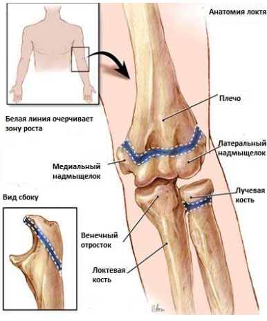 В детском возрасте можно стимулировать зоны роста 