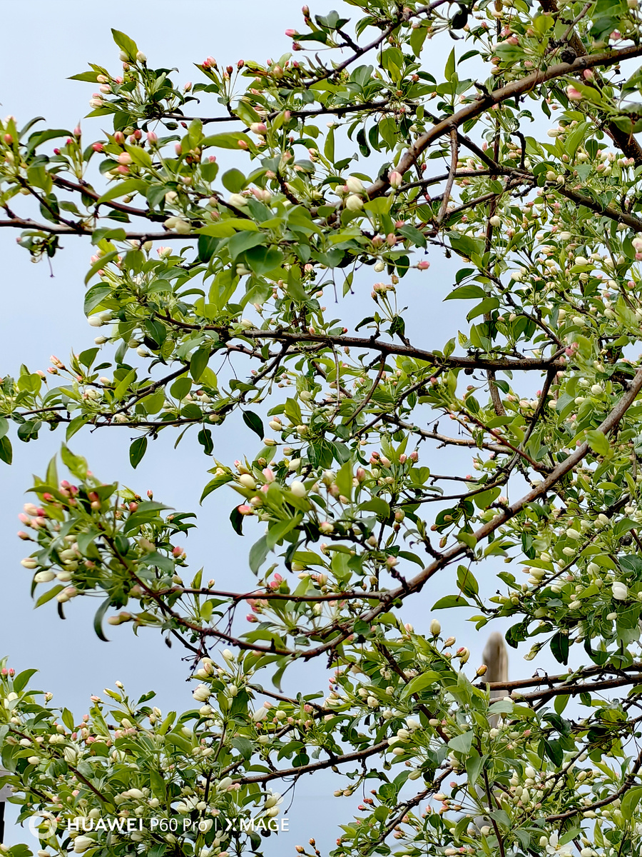 И снеговые тучи нам нипочём.