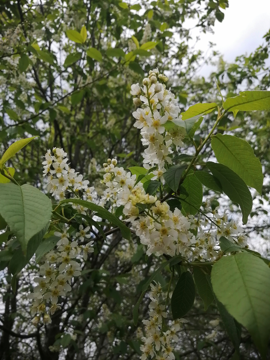 Фото автора канала 