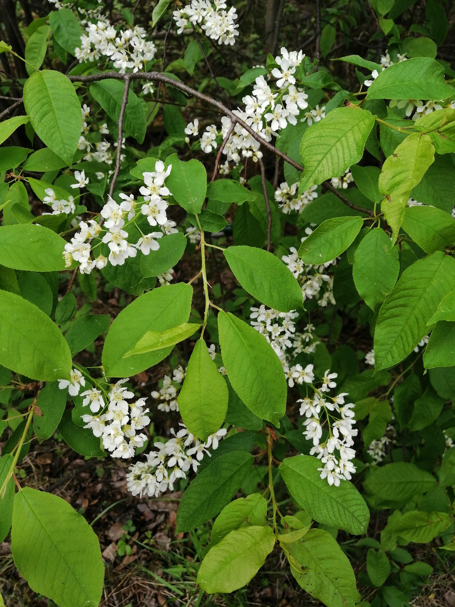 Фото автора канала