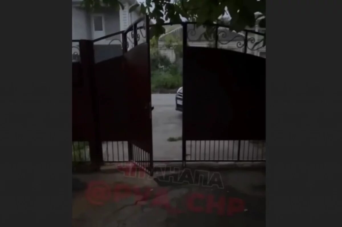    В Анапе неизвестные забрались в частный двор и убили щенка