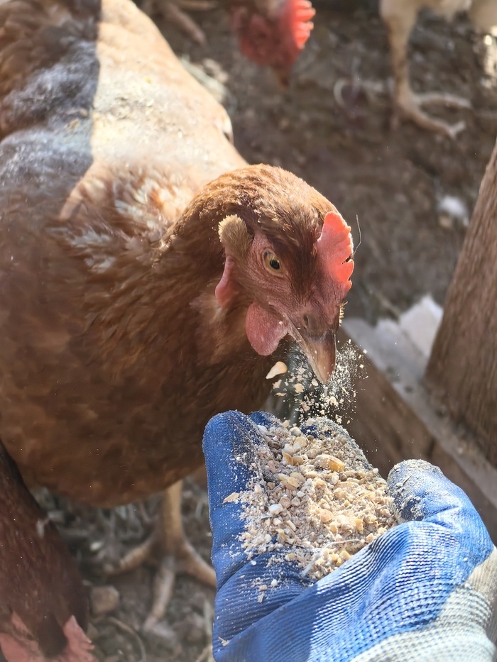 Листайте вправо, чтобы увидеть больше изображений