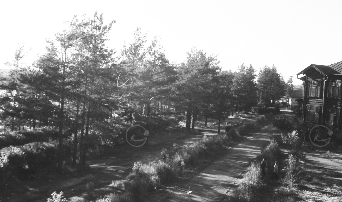 Фото из семейного архива. Дорожка вдоль жилых корпусов.