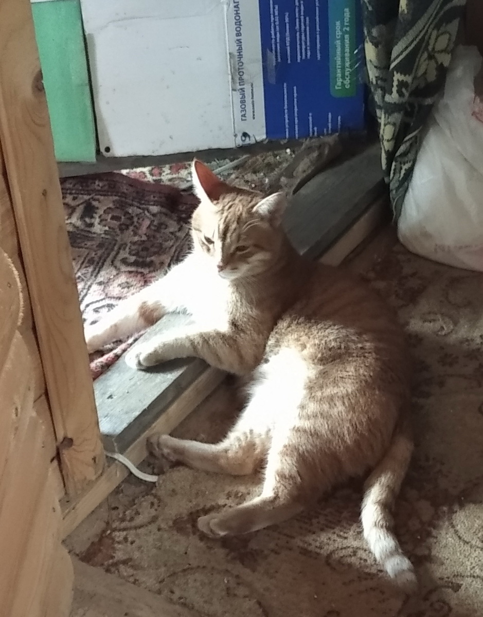 Личное  фото