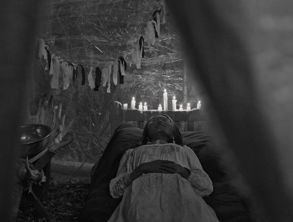     / Предоставлено кинокомпанией "Кинологистика"