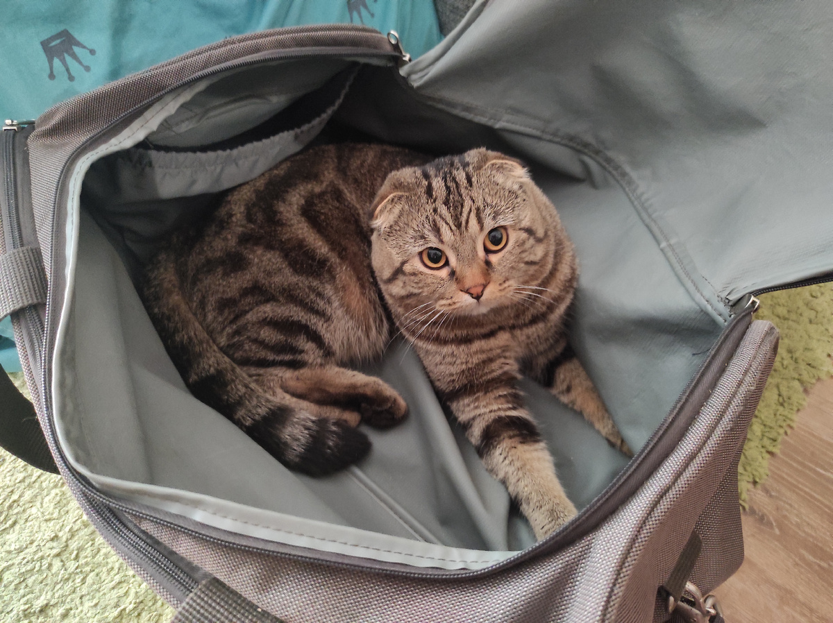 Щас помогу и спать,)