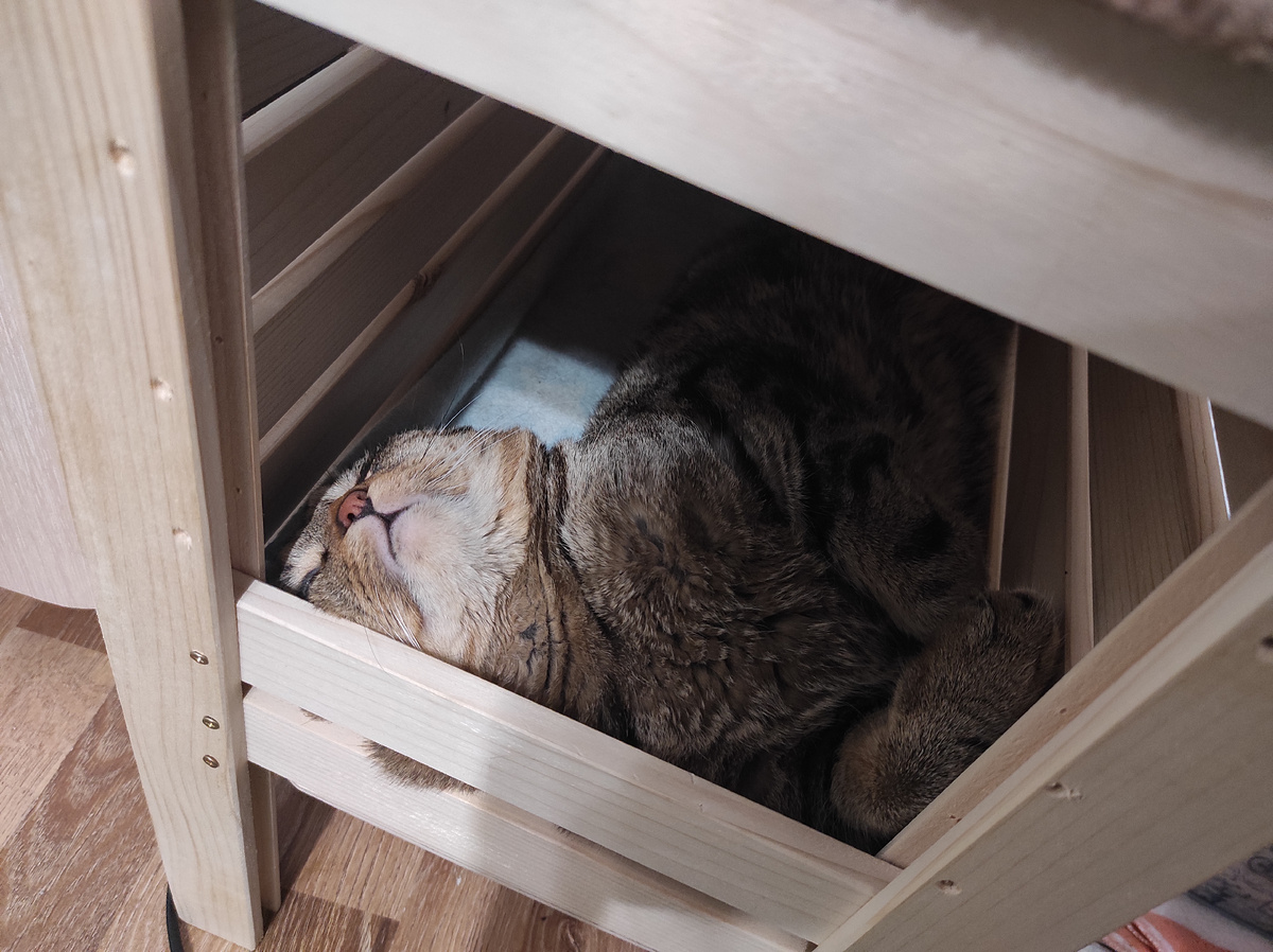 Устал собираться...