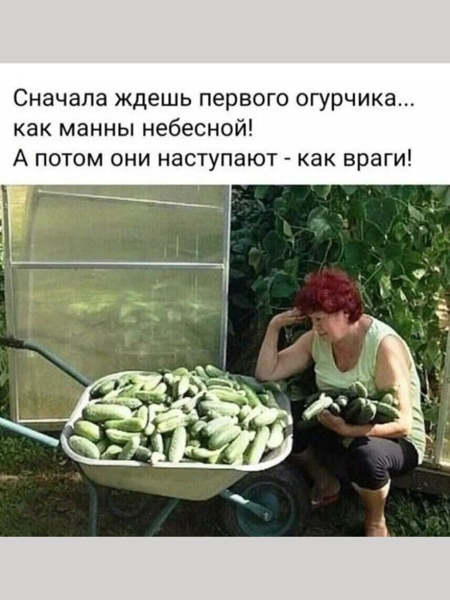 -16