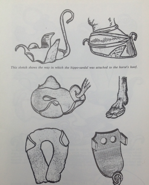 Гиппосандалии и способ их крепления