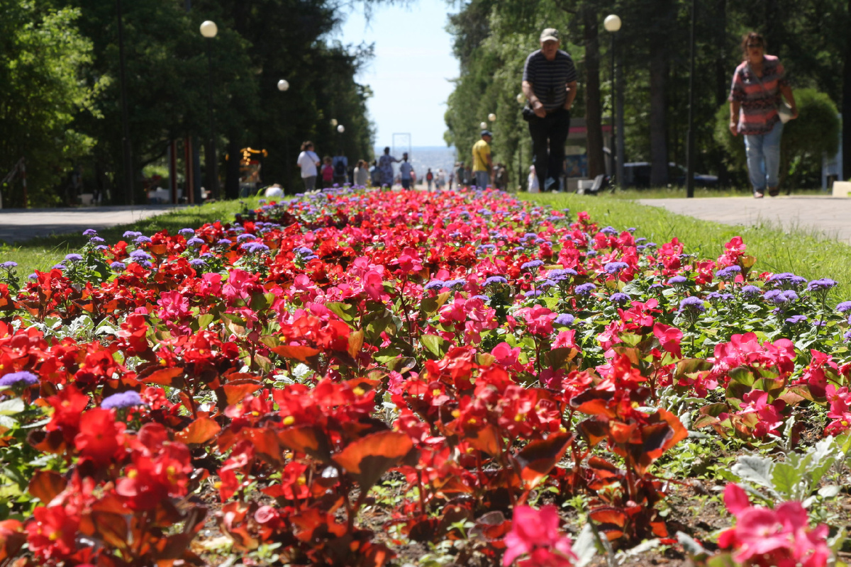 Фото с официального сайта *СПб ГБУК «ЗПКиО»  https://zpkio.ru/foto/