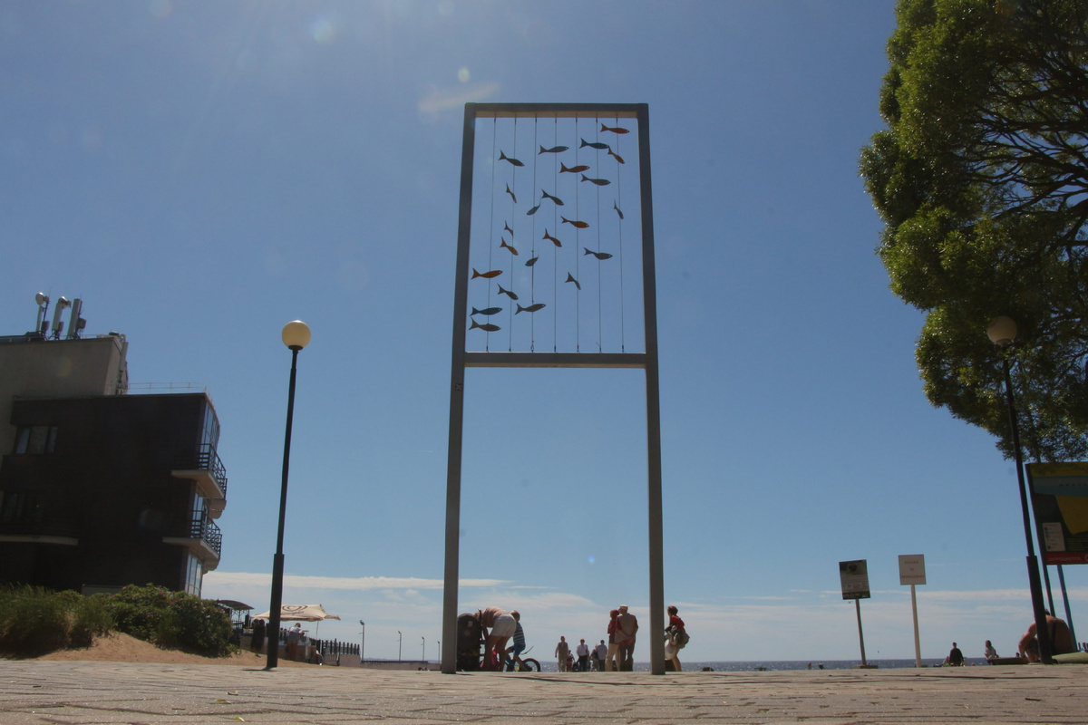 Фото с официального сайта *СПб ГБУК «ЗПКиО»  https://zpkio.ru/foto/