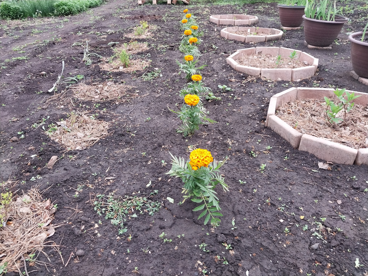 Так было 24.05.25.